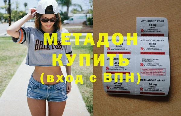 индика Гусев