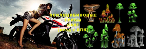 индика Гусев