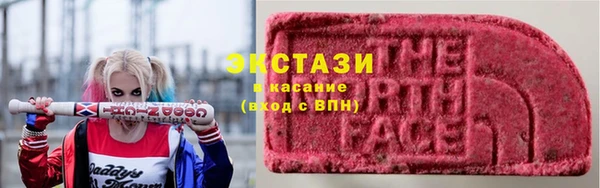 индика Гусев