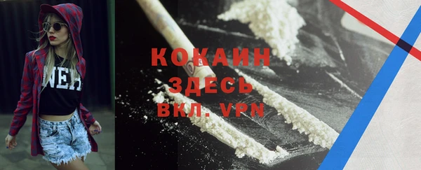 индика Гусев