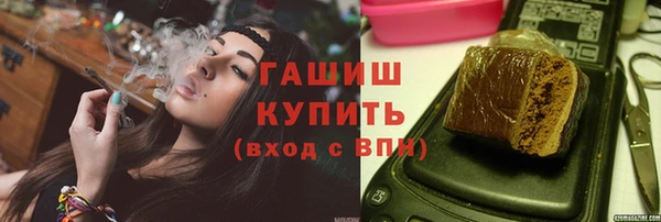 индика Гусев