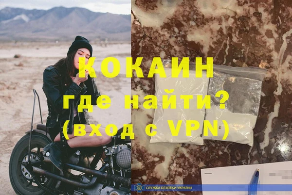 индика Гусев