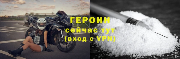 индика Гусев