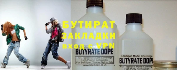 индика Гусев