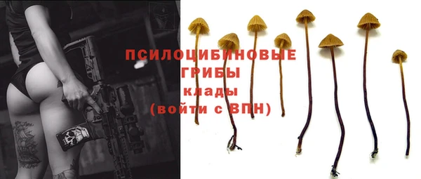MDMA Гусиноозёрск