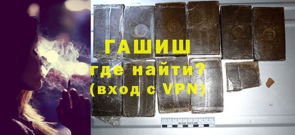 индика Гусев