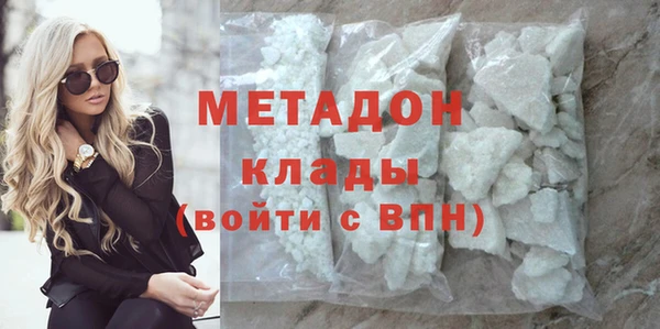 индика Гусев