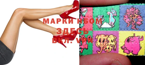 индика Гусев