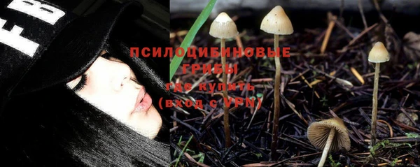 индика Гусев