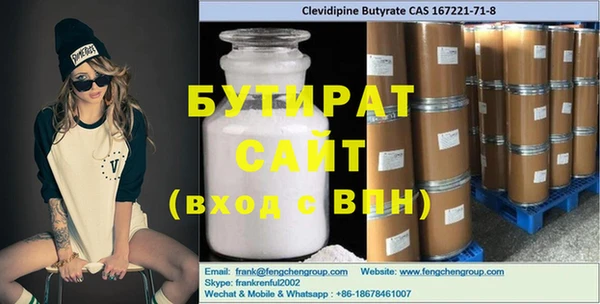 индика Гусев