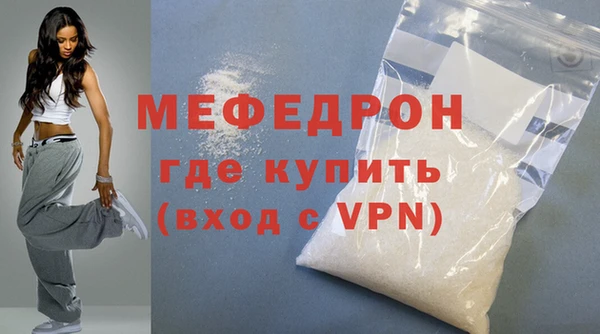 индика Гусев