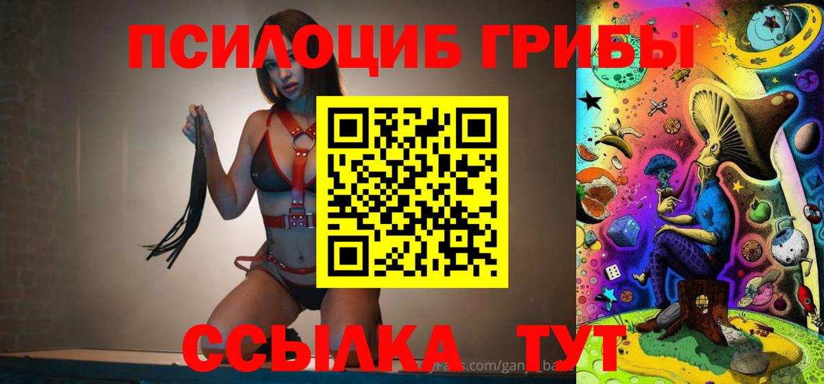 Псилоцибиновые грибы прущие грибы  Вход с VPN  Заречный 